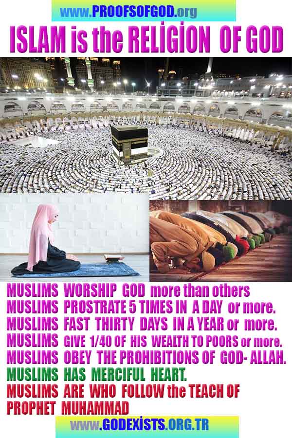 Evidences and Proofs of God