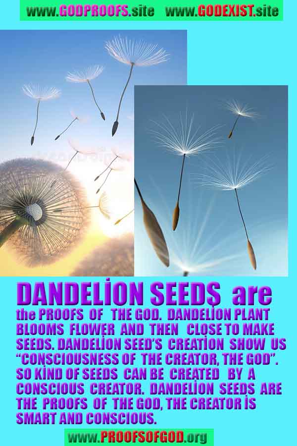 Evidences and Proofs of God