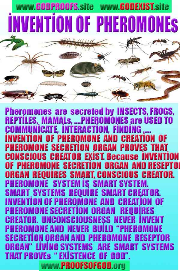 Evidences and Proofs of God