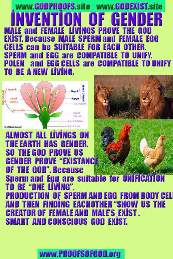 Evidences and Proofs of God