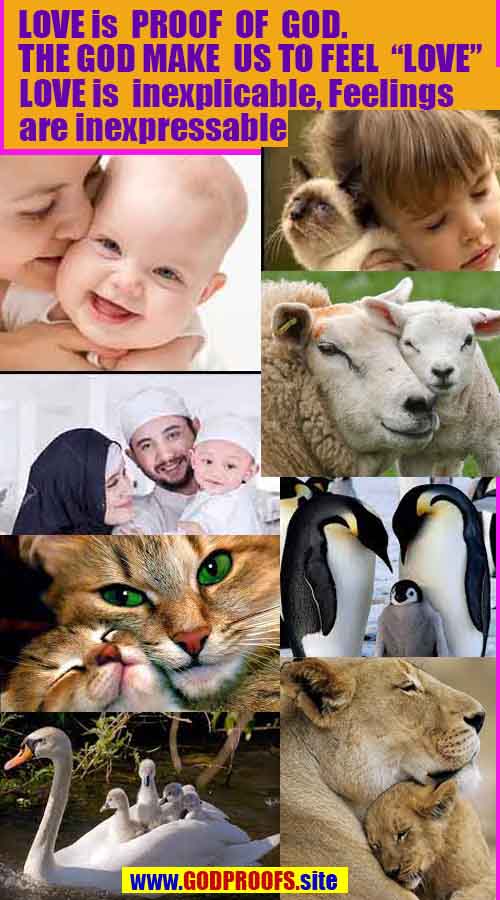 Evidences and Proofs of God