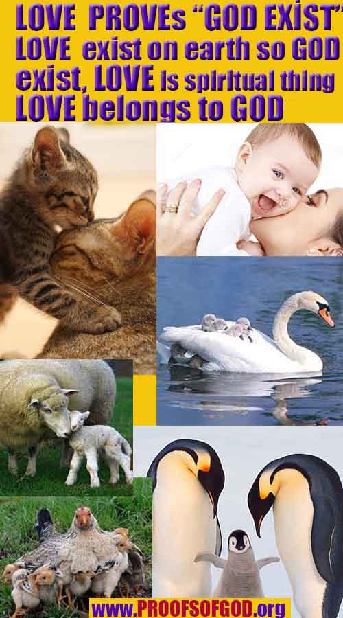 Evidences and Proofs of God