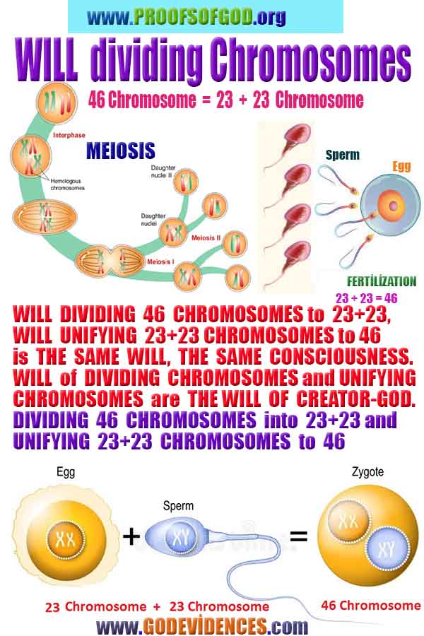 Evidences and Proofs of God