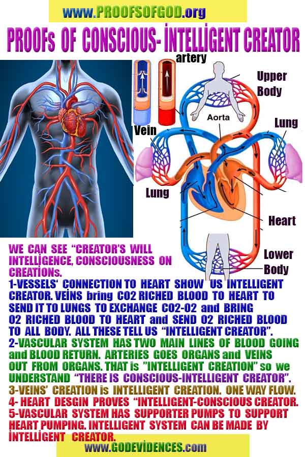 Evidences and Proofs of God