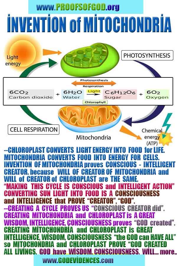 Evidences and Proofs of God