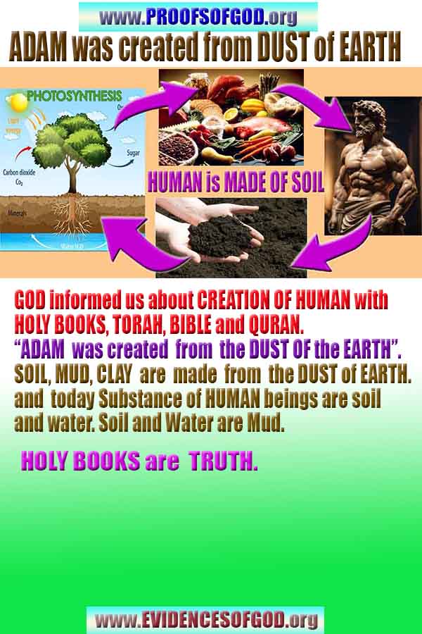 Evidences and Proofs of God