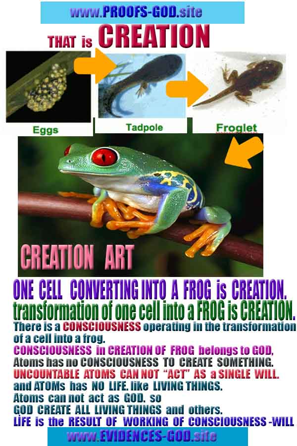 Evidences and Proofs of God