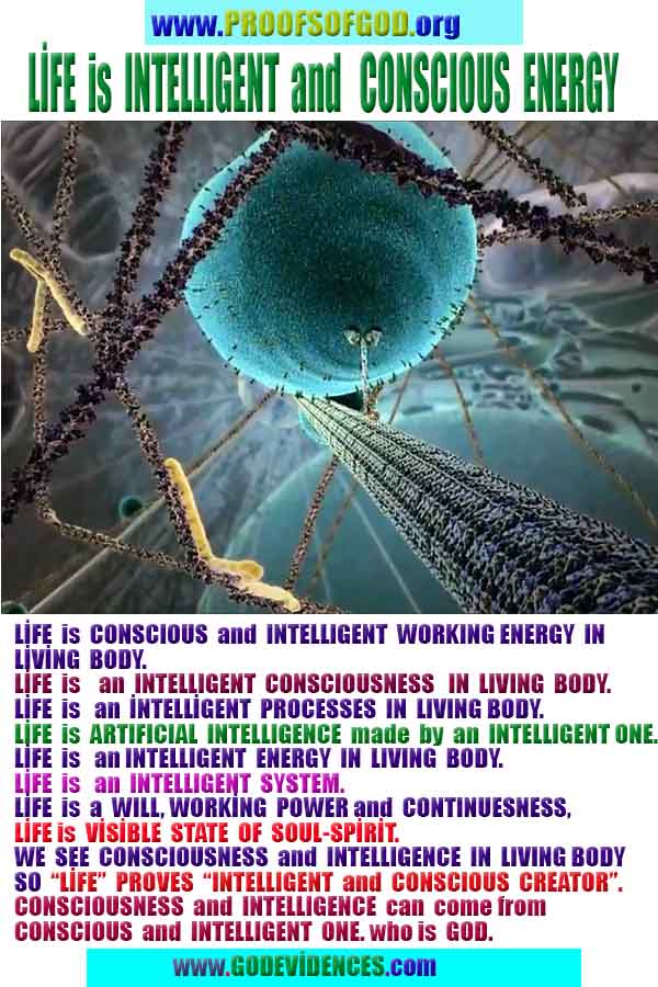 Evidences and Proofs of God