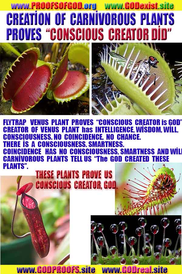 Evidences and Proofs of God