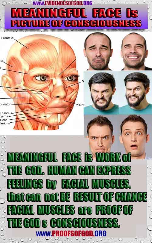 Evidences and Proofs of God