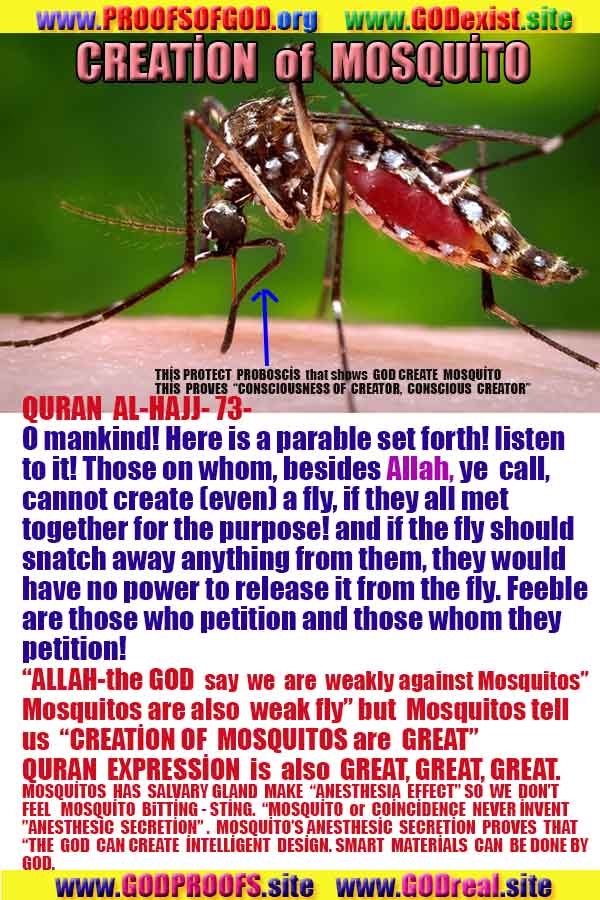 Evidences and Proofs of God