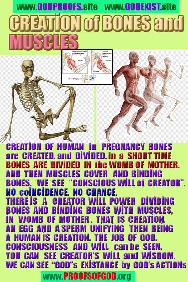 Evidences and Proofs of God