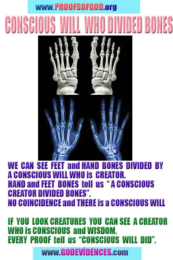 Evidences and Proofs of God