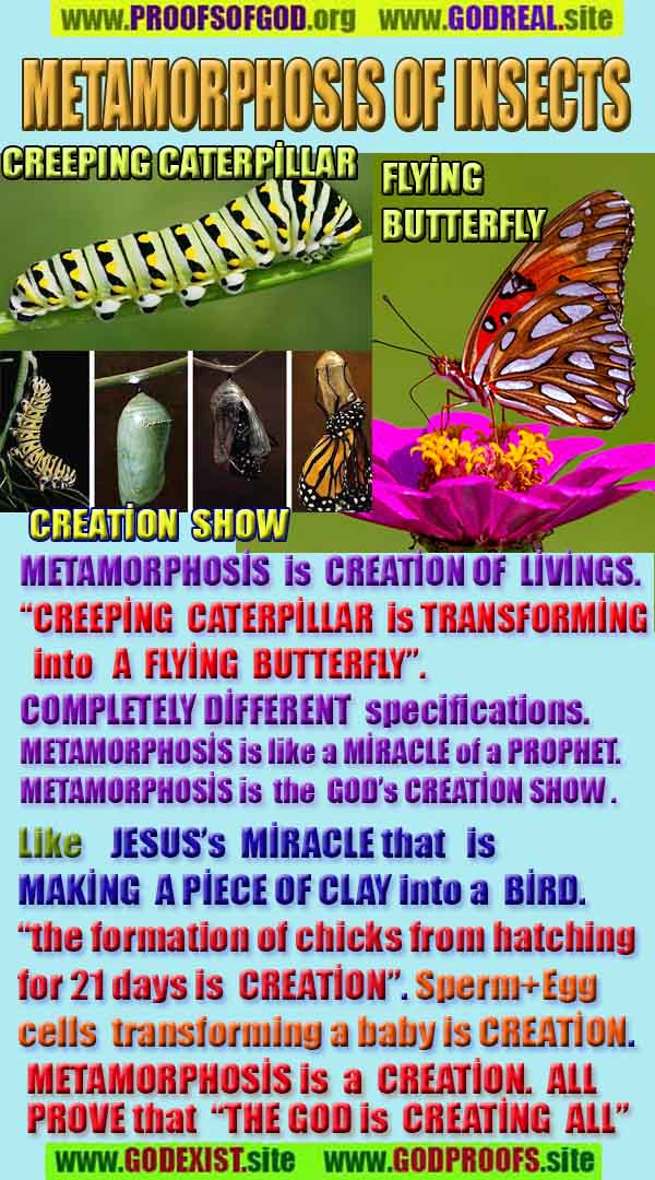 Evidences and Proofs of God