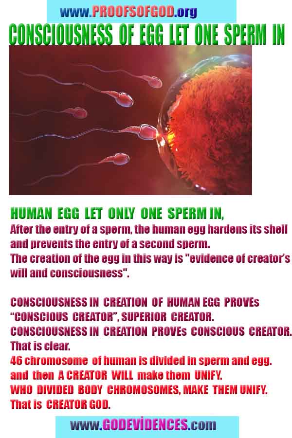 Evidences and Proofs of God