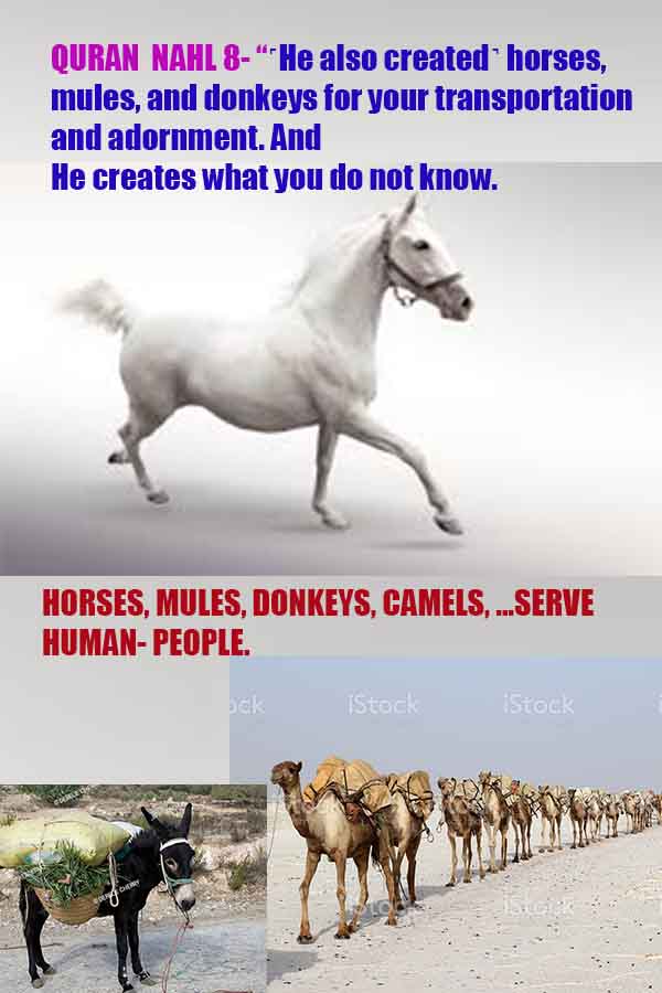 Evidences and Proofs of God