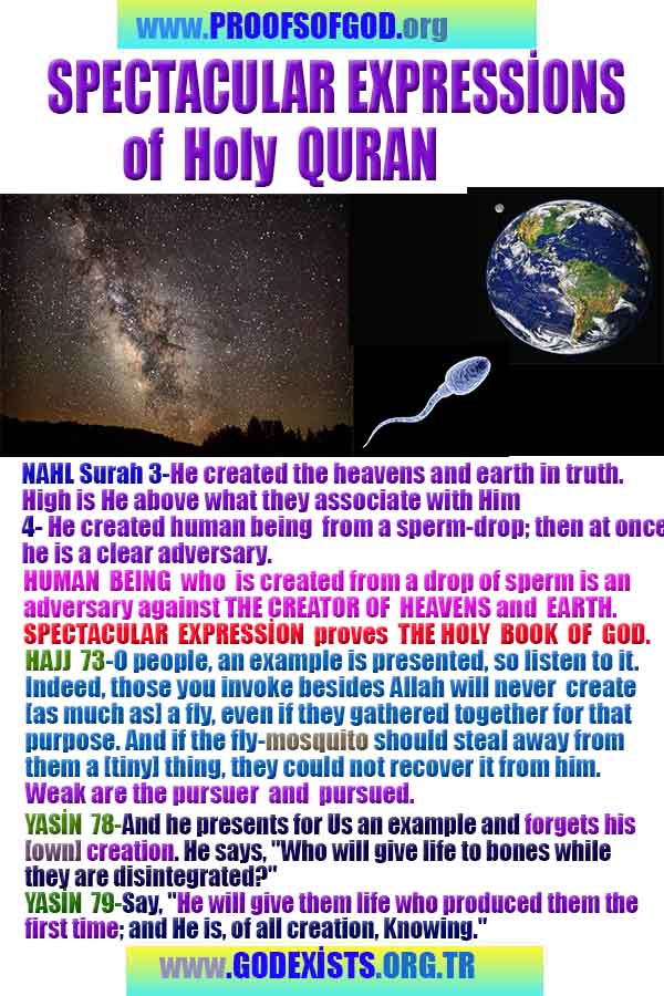 Evidences and Proofs of God