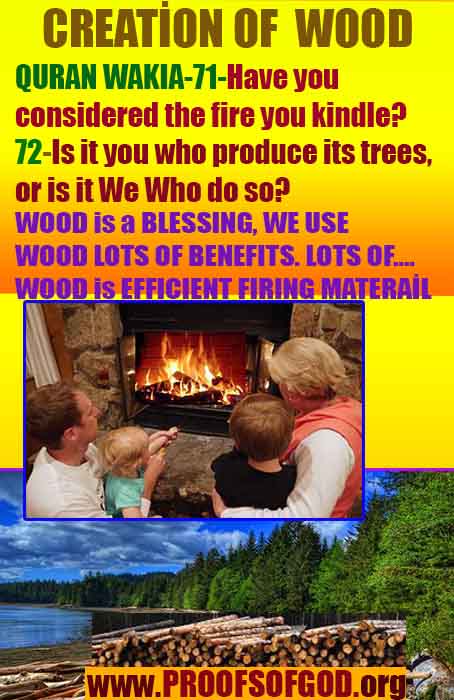 Evidences and Proofs of God