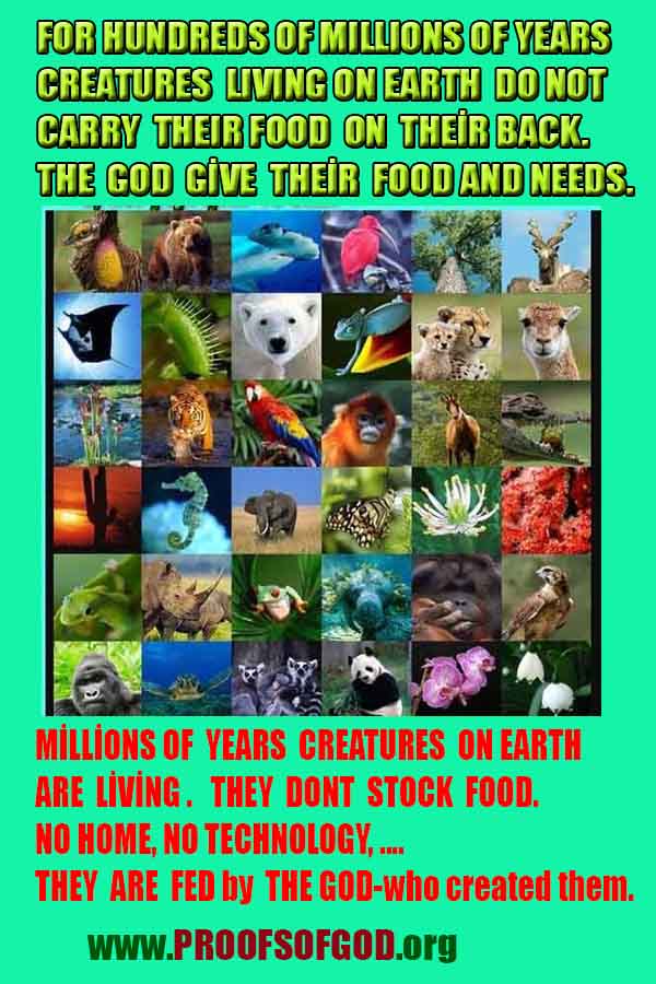 Evidences and Proofs of God