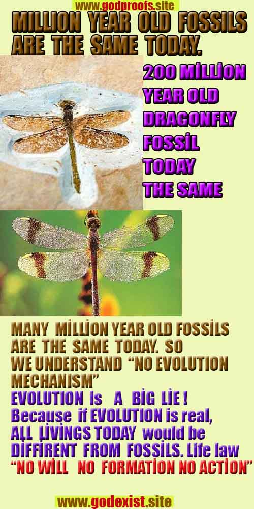 Evidences and Proofs of God