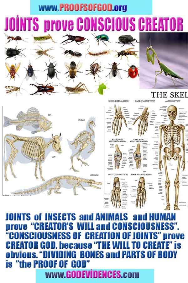 Evidences and Proofs of God