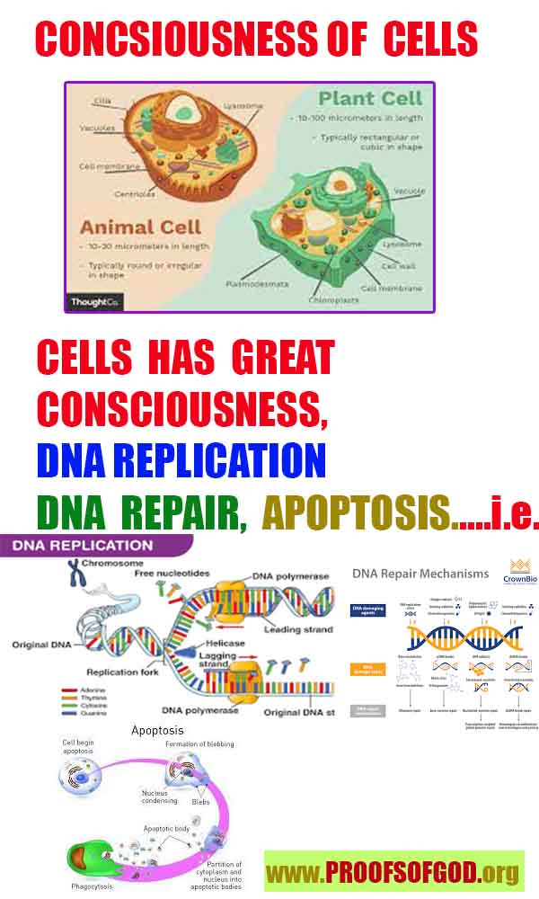 Evidences and Proofs of God