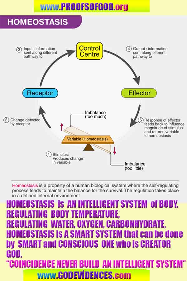 Evidences and Proofs of God