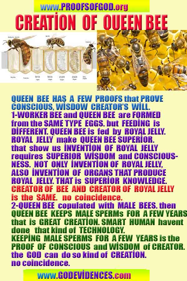 Evidences and Proofs of God