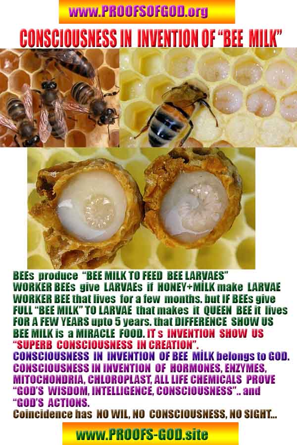 Evidences and Proofs of God