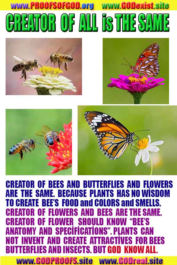 Evidences and Proofs of God