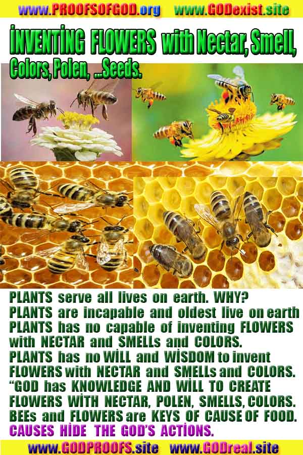 Evidences and Proofs of God