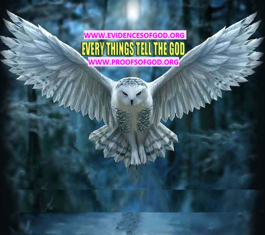 Evidences and Proofs of God