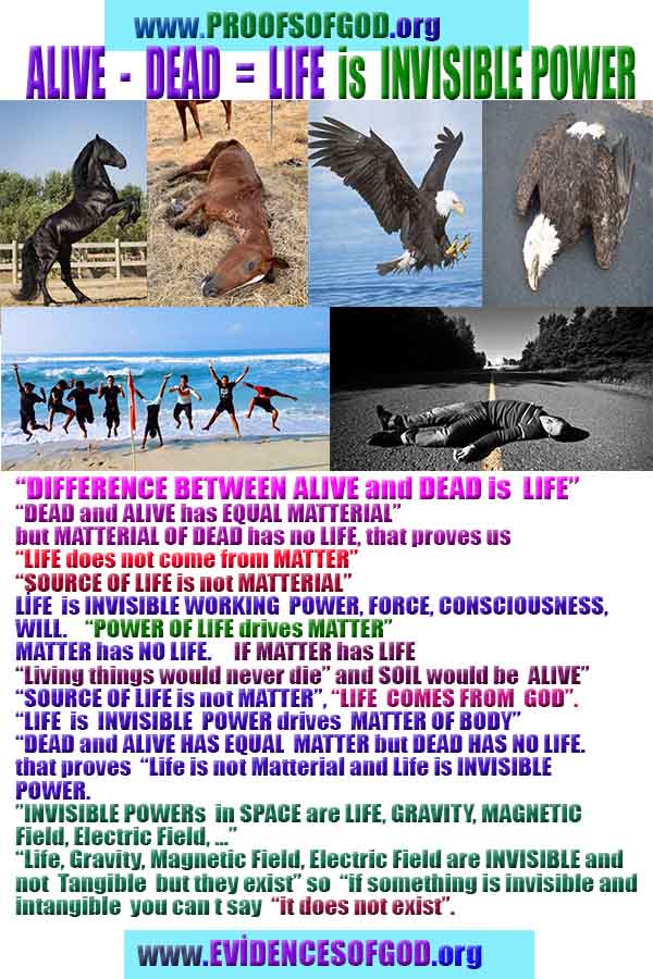 Evidences and Proofs of God