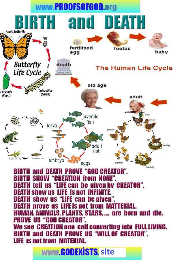 Evidences and Proofs of God