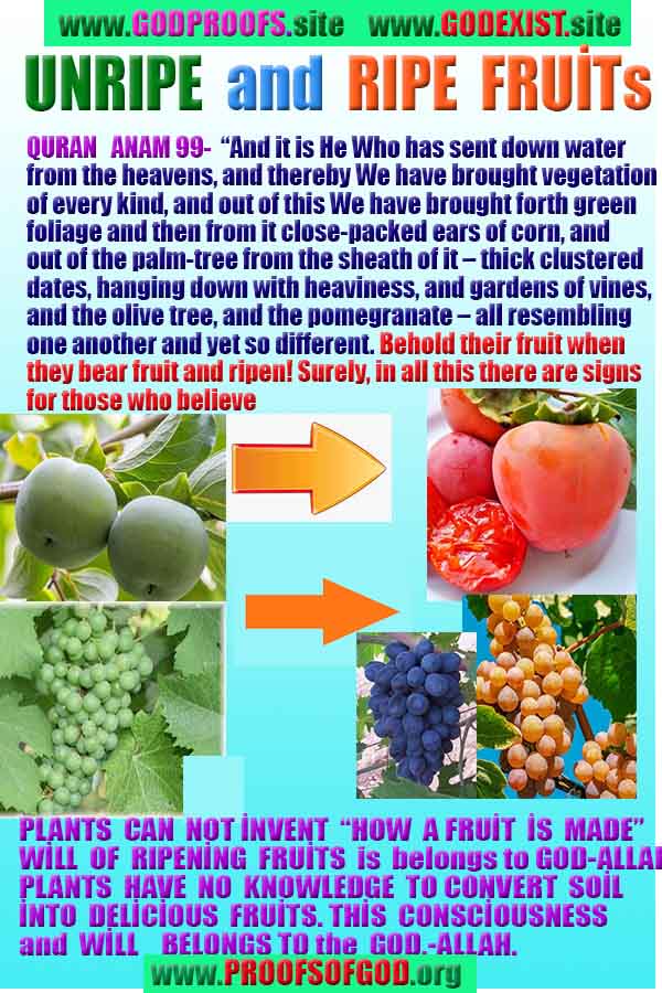 Evidences and Proofs of God