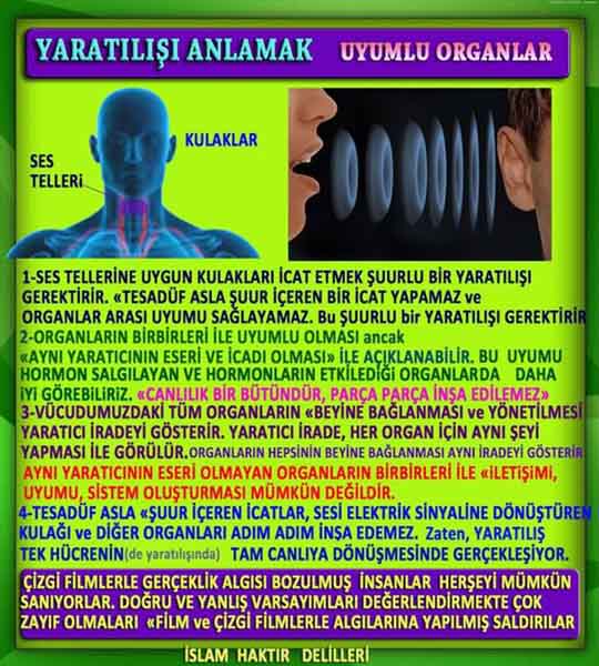 Allahın kanıtı ispatı delili